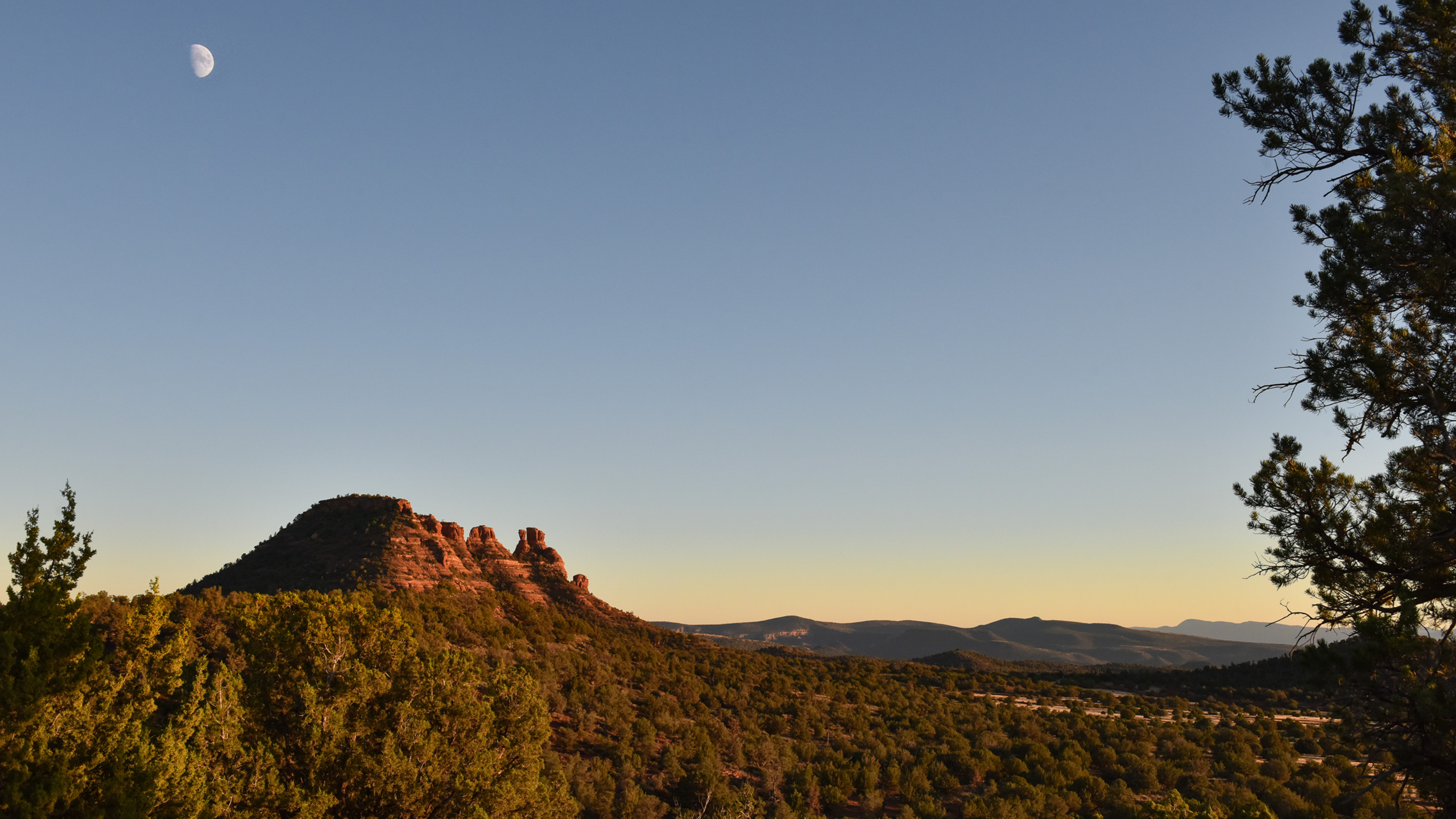 moonrise over the red rocks in Sedona at dusk